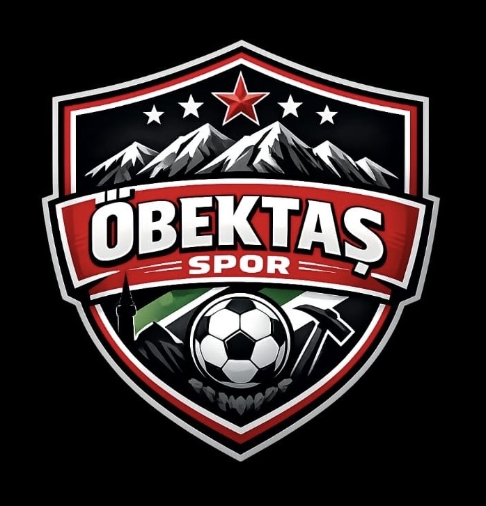 Öbektaş Spor logo