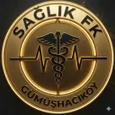 Sağlık FK
